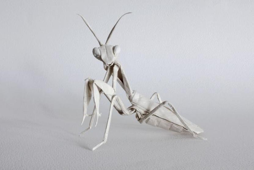 Kağıttan şaheser yaratma sanatı: Origami