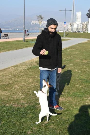 Çılgın köpek Chivas