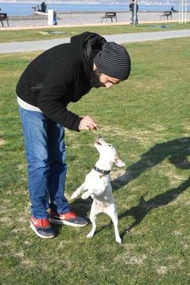 Çılgın köpek Chivas