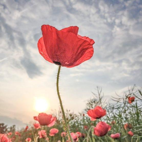 iPhone ile çekilen en güzel 61 fotoğraf seçildi