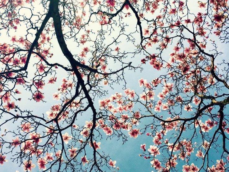 iPhone ile çekilen en güzel 61 fotoğraf seçildi