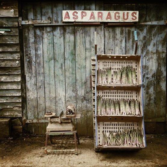 iPhone ile çekilen en güzel 61 fotoğraf seçildi