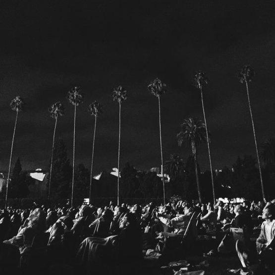 iPhone ile çekilen en güzel 61 fotoğraf seçildi