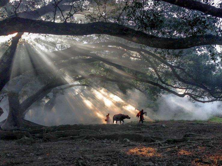 iPhone ile çekilen en güzel 61 fotoğraf seçildi