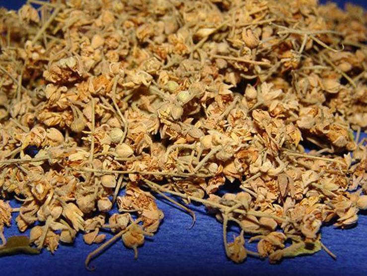 Ihlamur fiyatları uçuyor