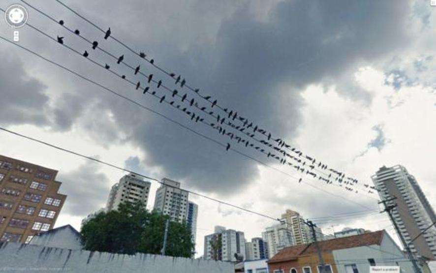Bu fotoğraf kazara çekildi