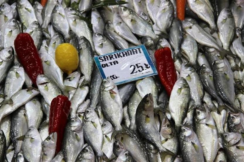 Gırgırlar açılamayınca tezgahlar olta balığına kaldı