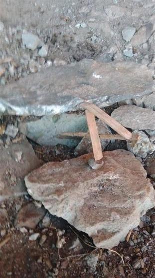 Erzurumda kınalı keklik avcısı yakalandı