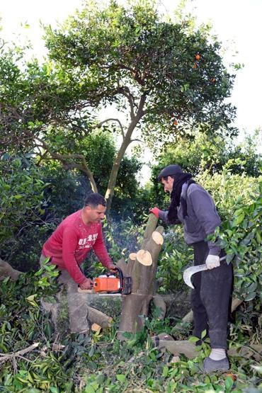Türkiye 27 yılda 4 milyon hektar tarım alanını kaybetti