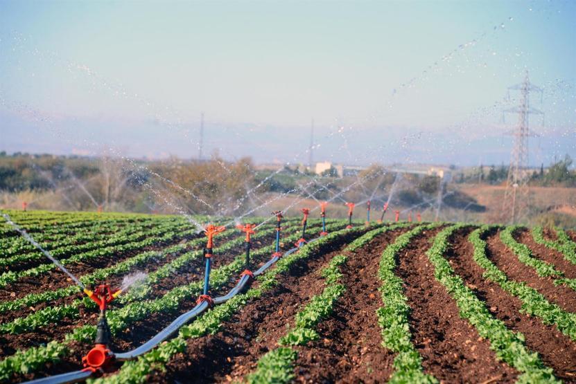 Türkiye 27 yılda 4 milyon hektar tarım alanını kaybetti