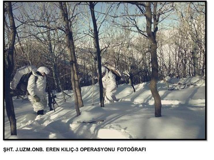 Bitliste PKK sığınakları imha edildi