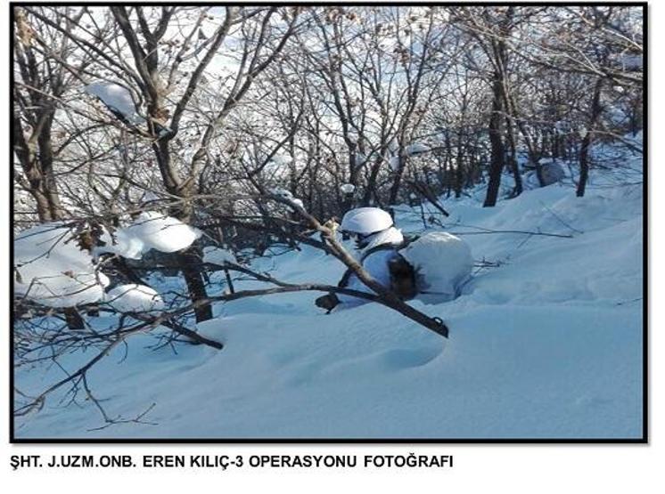 Bitliste PKK sığınakları imha edildi