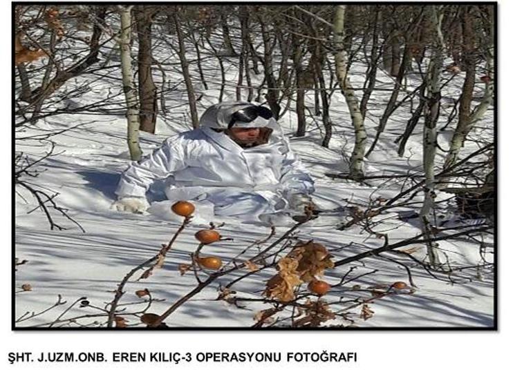 Bitliste PKK sığınakları imha edildi