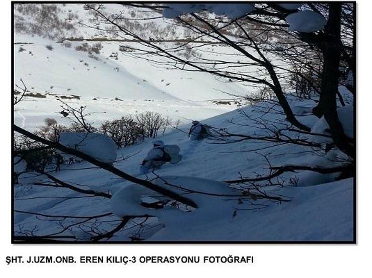 Bitliste PKK sığınakları imha edildi