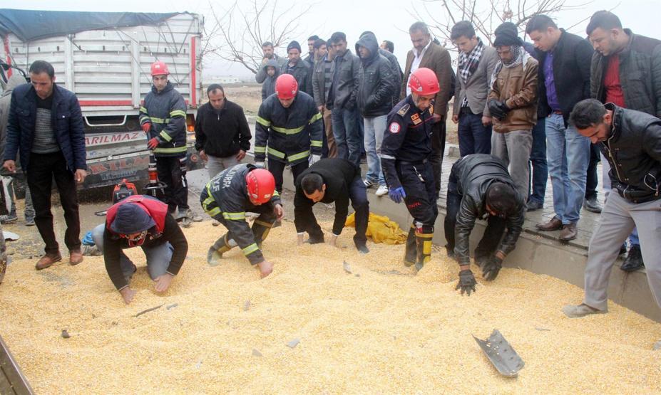Mısırların arasında kazada kopan kolunu aradılar