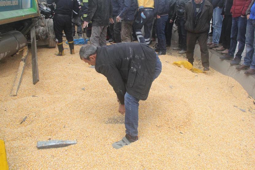 Mısırların arasında kazada kopan kolunu aradılar