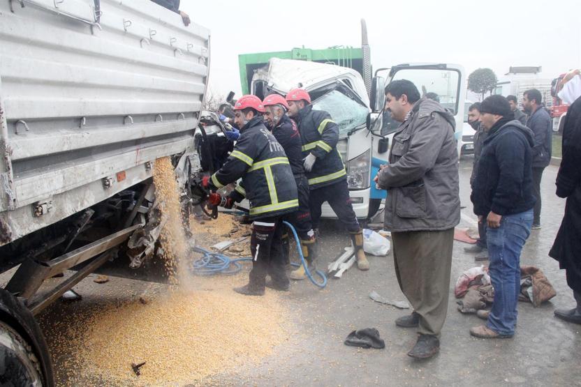 Mısırların arasında kazada kopan kolunu aradılar