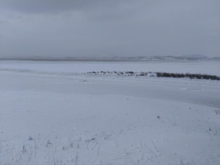 Büyükçekmece Gölü bu hale geldi