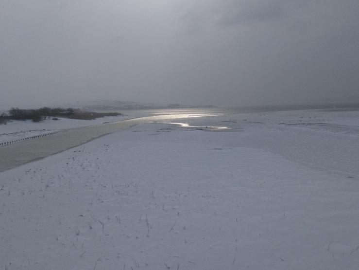 Büyükçekmece Gölü bu hale geldi
