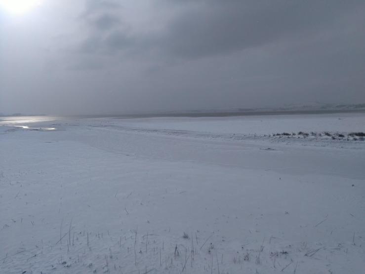 Büyükçekmece Gölü bu hale geldi