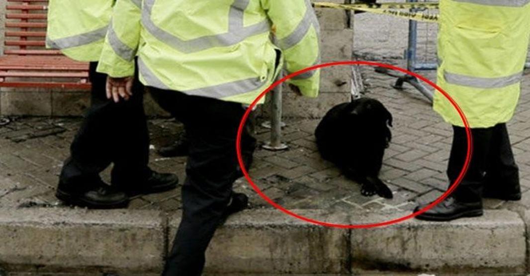 Fethi Sekinin köpeği için kulübe koydular, yine de yerini bırakmadı