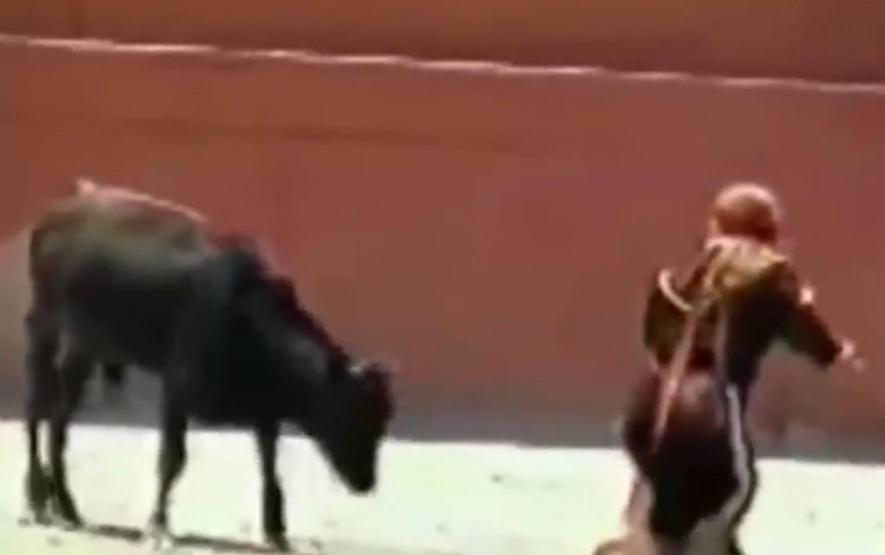 Çılgına dönen boğa matadora saldırdı