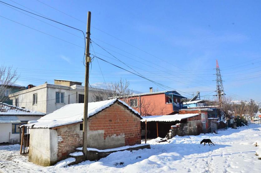 Kopan elektrik teli korkuttu