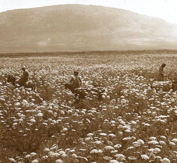 30 fotoğrafla Osmanlı hakimiyetindeki son günlerinde kutsal topraklar