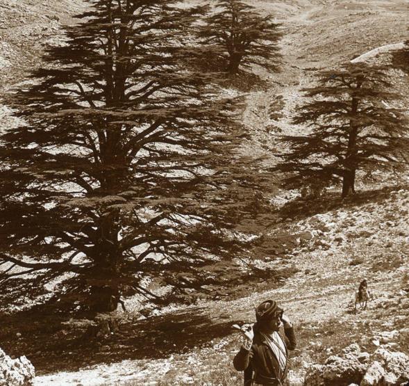 30 fotoğrafla Osmanlı hakimiyetindeki son günlerinde kutsal topraklar