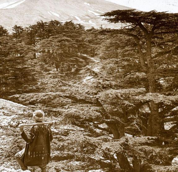 30 fotoğrafla Osmanlı hakimiyetindeki son günlerinde kutsal topraklar