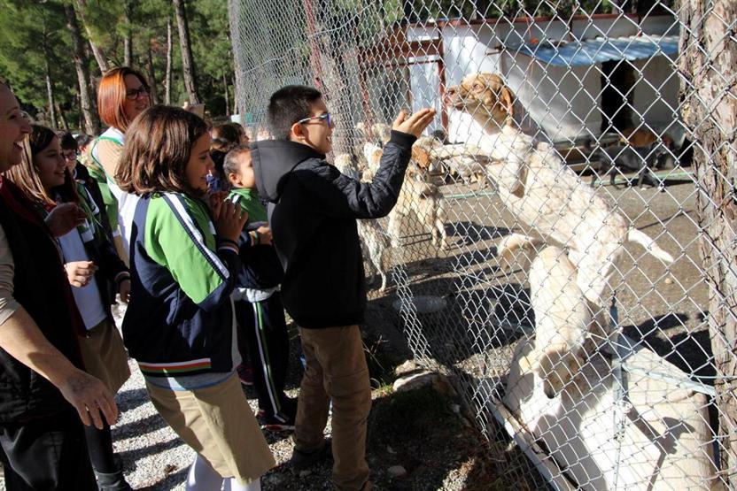 Harçlıklarıyla 1 ton köpek maması aldılar