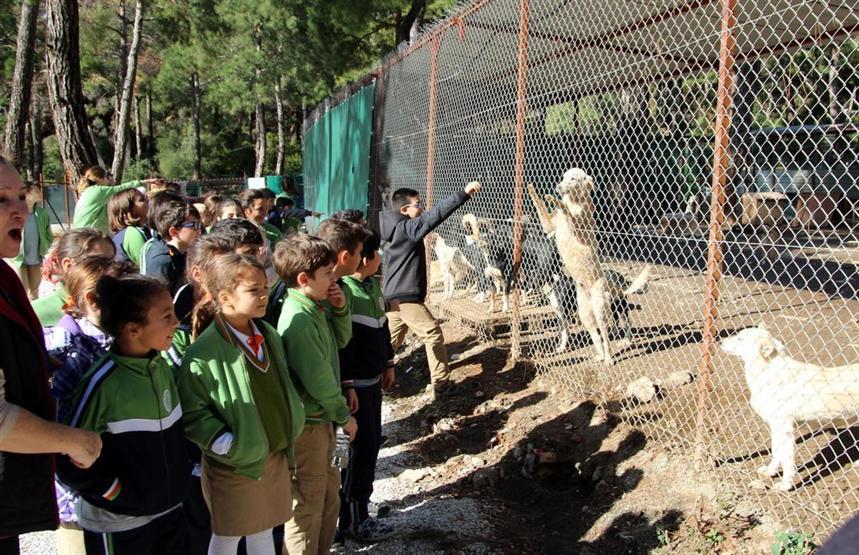 Harçlıklarıyla 1 ton köpek maması aldılar