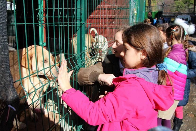 Harçlıklarıyla 1 ton köpek maması aldılar