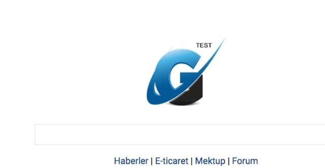 Yerli arama motorunun, sonuçları Googledan çektiği ortaya çıktı