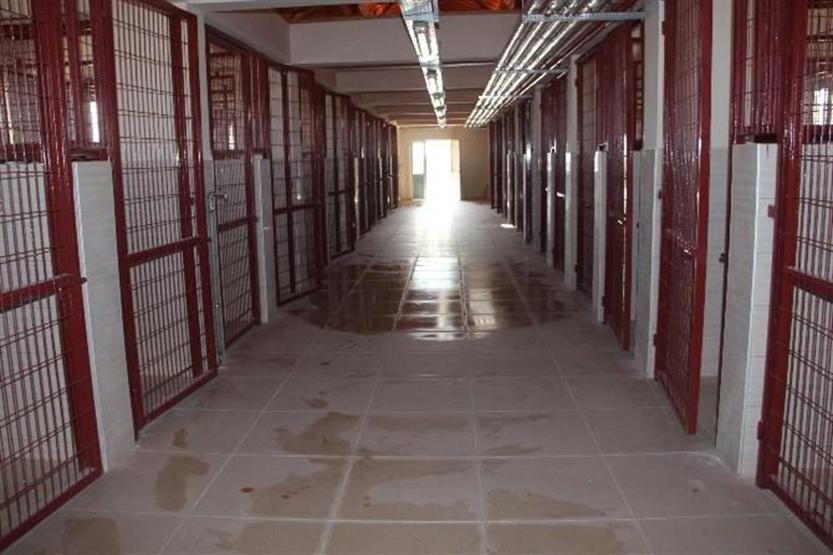 Türkiye’nin en büyük hayvan hastanesi ve oteli tamamlandı