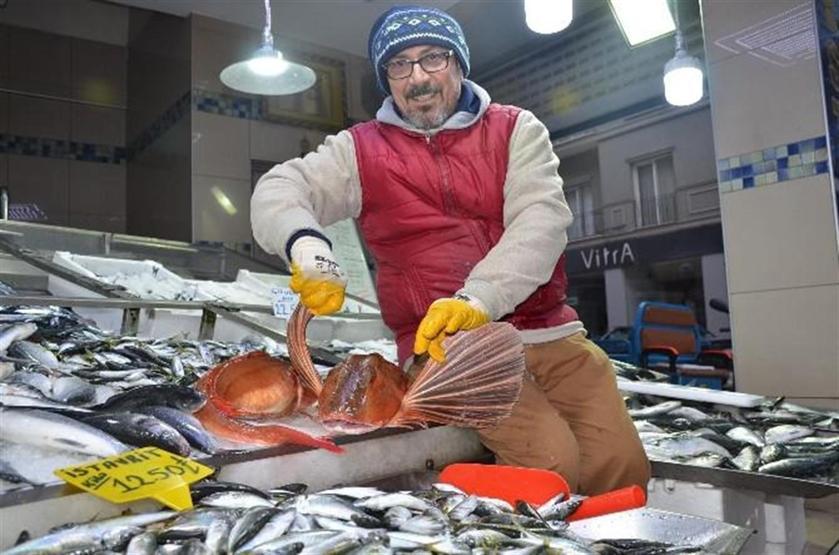 Kırlangıç balığı tezgahları süslüyor