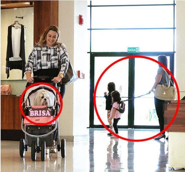 İşte ilk bakışta ayrıntıları anlaşılmayan fotoğraflar