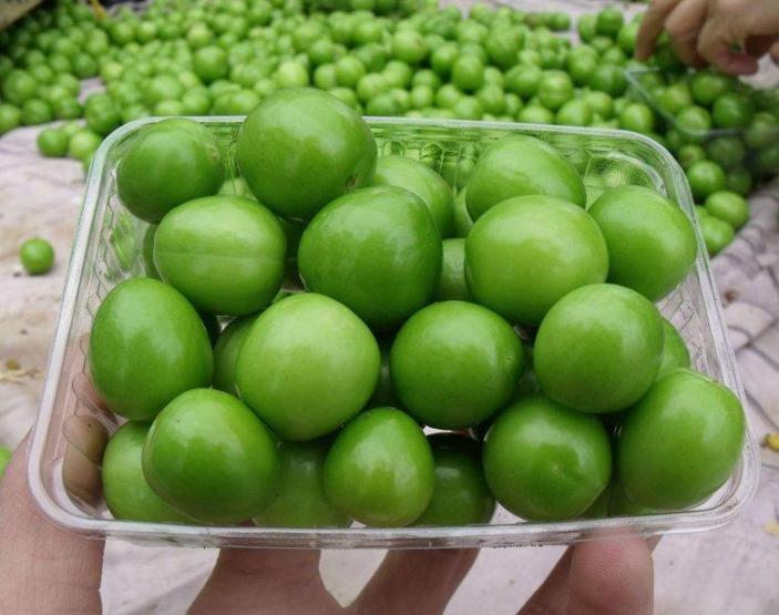 Eriğin kilosu 500 liradan satılıyor