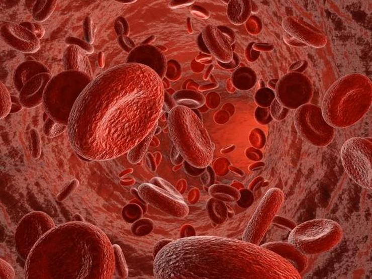 İnsan vücuduyla ilgili şaşırtıcı bilgiler