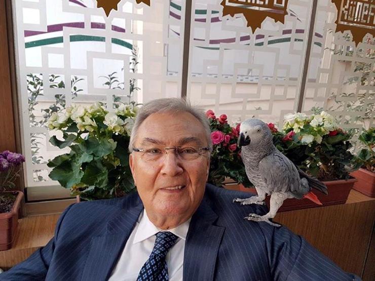 Mardinde 4 dilde hoşgeldin diyen papağan aranıyor
