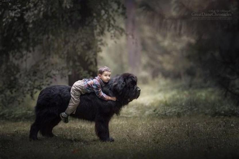 Minicik çocuklar, kocaman köpekler