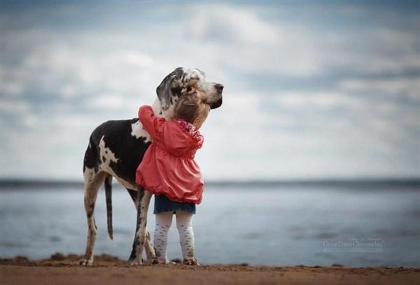 Minicik çocuklar, kocaman köpekler