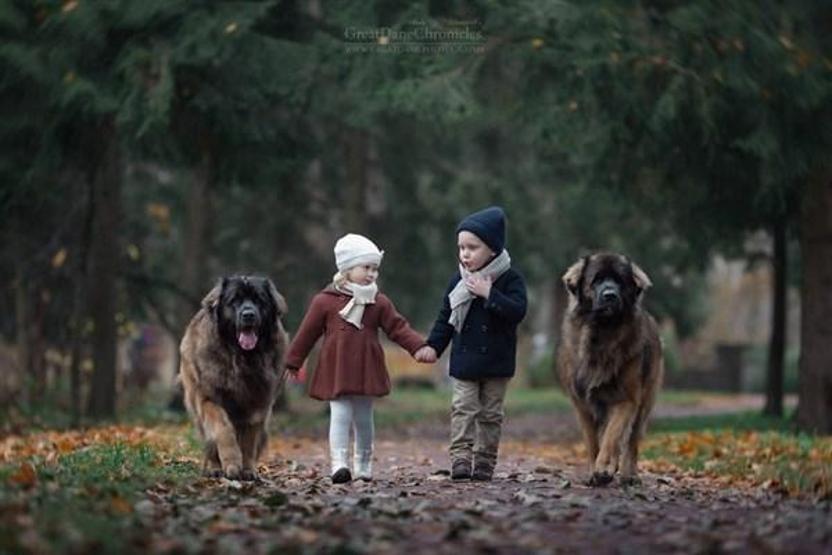 Minicik çocuklar, kocaman köpekler
