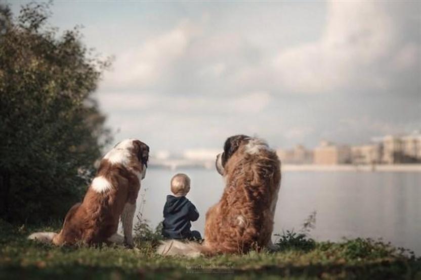 Minicik çocuklar, kocaman köpekler