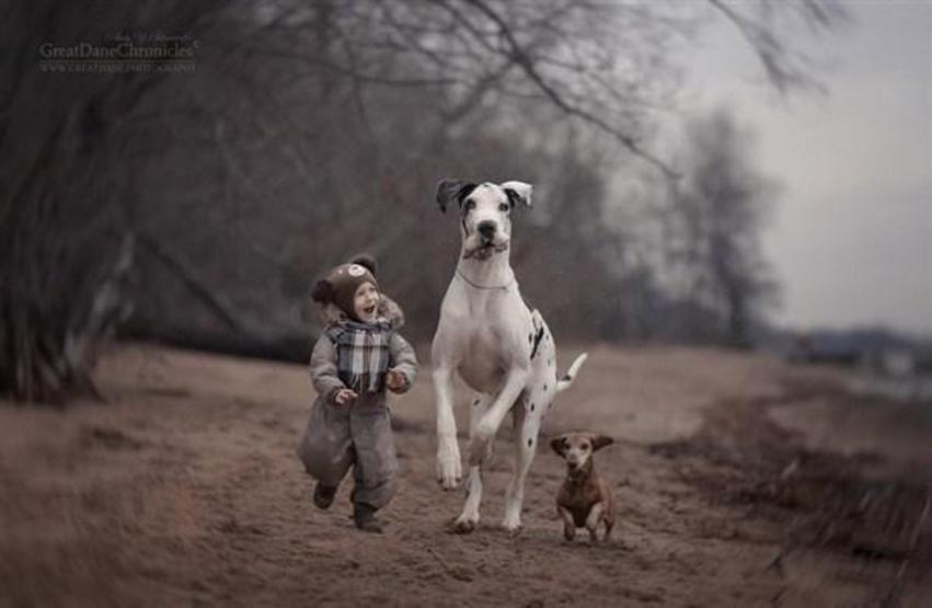 Minicik çocuklar, kocaman köpekler