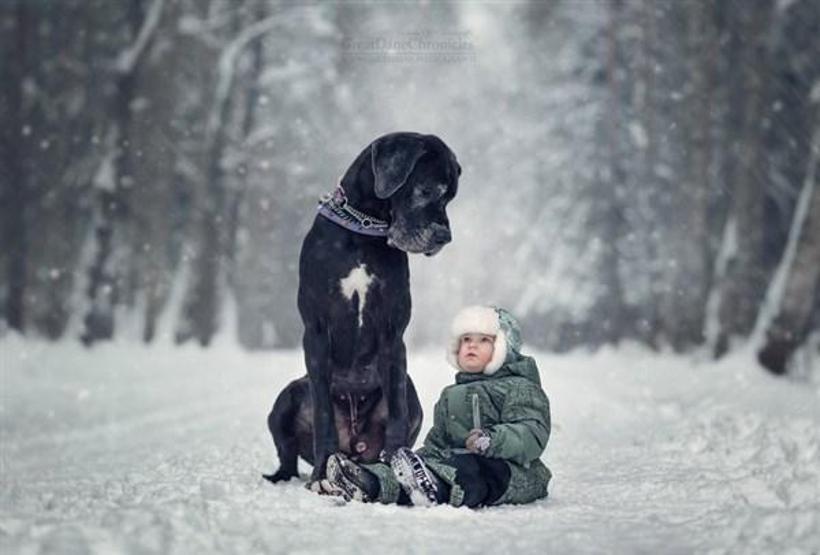 Minicik çocuklar, kocaman köpekler