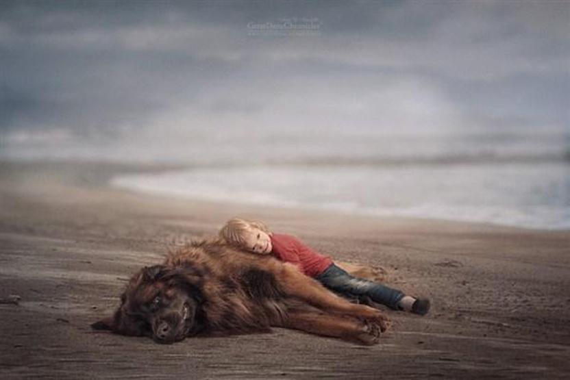 Minicik çocuklar, kocaman köpekler