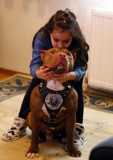 Pitbulla ninni söyleyen kız