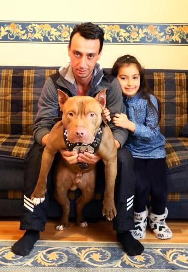 Pitbulla ninni söyleyen kız