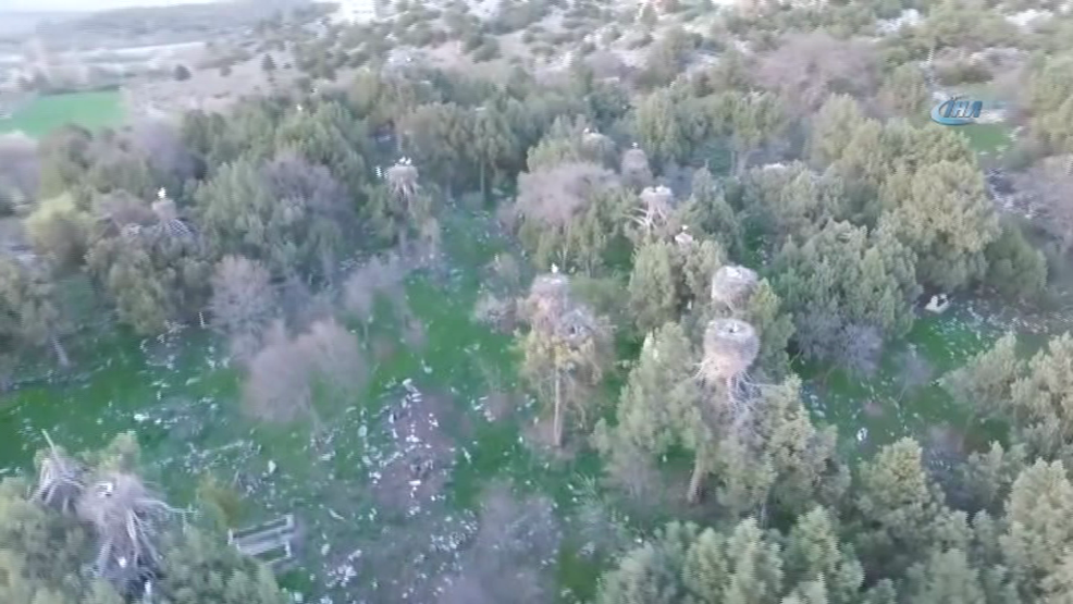 Leylekler vadisi BM tarafından pilot alan seçildi